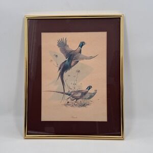 Douglas Van Howd Pheasants Framed Wildlife Print Bird Lithograph 21x17